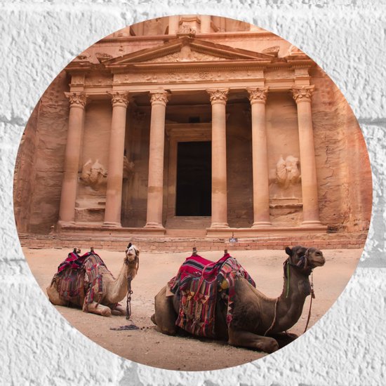 WallClassics - Muursticker Cirkel - Liggende Kamelen voor een Gebouw - 20x20 cm Foto op Muursticker