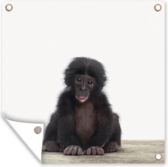 Tuin poster Kind - Aap - Chimpansee - Baby dieren - Jongens - Meiden - 200x200 cm - Tuindoek - Buitenposter