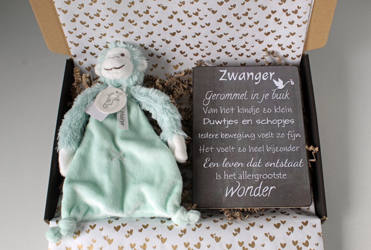 Goedkoopste Brievenbus cadeau Aap Mickey - cadeau zwangerschap - kraam cadeau - babyshower