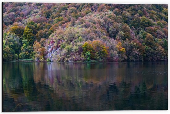 WallClassics - Dibond - Gekleurde Bos aan het Water - 60x40 cm Foto op Aluminium (Met Ophangsysteem)