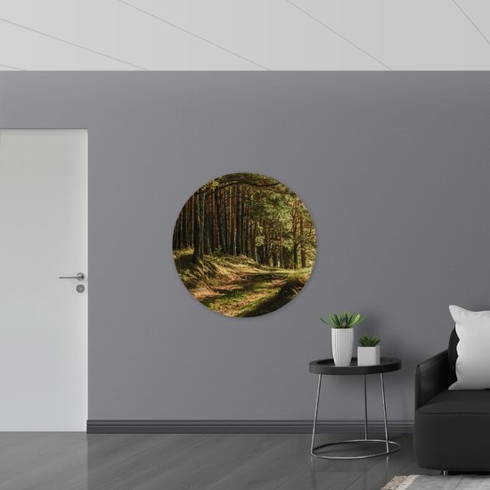 WallClassics - Muursticker Cercle - Belle Lumière du Soleil dans la Forêt - 100x100 cm Photo sur Muursticker