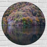 WallClassics - Muursticker Cirkel - Gekleurde Bos aan het Water - 70x70 cm Foto op Muursticker