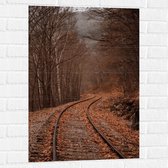 WallClassics - Muursticker - Treinrails tussen Bossen - 60x90 cm Foto op Muursticker