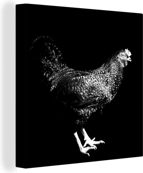 Canvas Schilderij Donker gekleurde kip poseert voor een zwarte achtergrond - zwart wit - 50x50 cm - Wanddecoratie