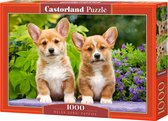 Castorland Welsh Corgi Puppies - 1000pcs