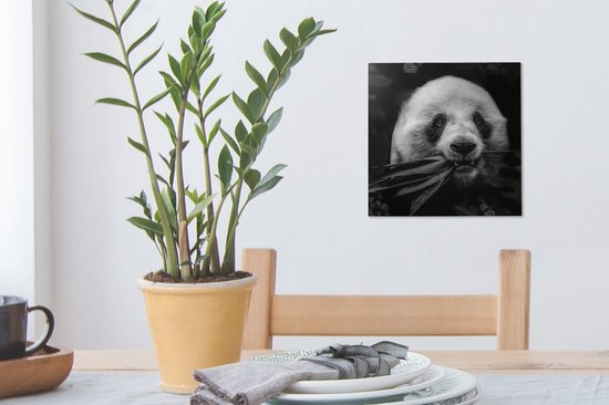Canvas schilderij 20x20 cm - Wanddecoratie Dieren - Panda - Jungle - Muurdecoratie woonkamer - Slaapkamer decoratie - Kamer accessoires - Schilderijen op canvas