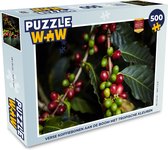 Puzzel Verse koffiebonen aan de boom met tropische kleuren - Legpuzzel - Puzzel 500 stukjes