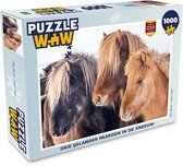 Puzzel Drie IJslander paarden in de sneeuw - Legpuzzel - Puzzel 1000 stukjes volwassenen