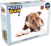 Puzzel Liggende hond fotoprint - Legpuzzel - Puzzel 500 stukjes