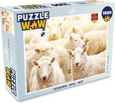 Puzzel Schapen - Wol - Wit - Legpuzzel - Puzzel 1000 stukjes volwassenen