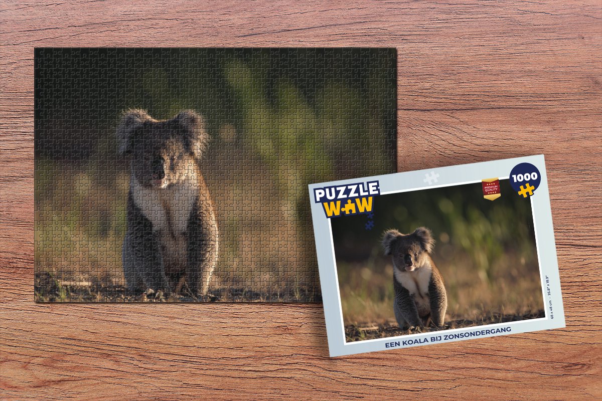 Puzzel Koala - Zon - Dier - Kids - Jongens - Meiden - Legpuzzel - Puzzel 1000 stukjes volwassenen