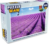 Puzzel Een bloeiend paars lavendelveld op een zonnige dag - Legpuzzel - Puzzel 500 stukjes
