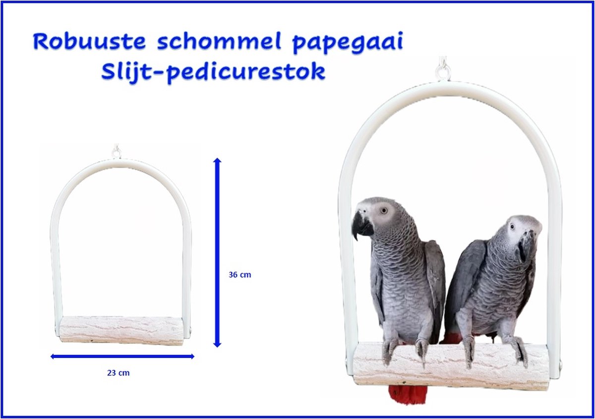 bijlage Het beste spreker Robuuste vogel schommel met slijtstok voor Papegaaien zoals grijze  roodstaart -... | bol.com