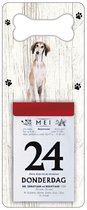 Scheurkalender 2024 Hond: Saluki