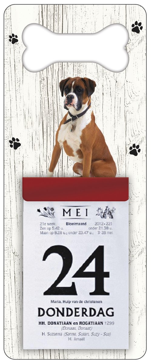 Scheurkalender 2026 Hond: Boxer