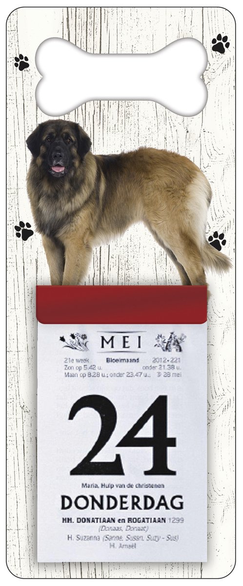 Scheurkalender 2026 Hond: Leonberger