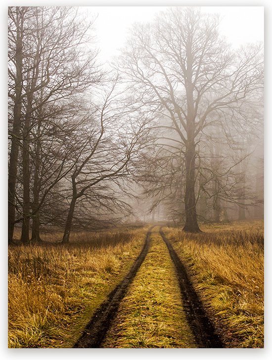 Canvas Schilderij Foggy Path