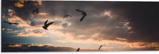 WallClassics - Dibond - Vogels in de Lucht bij Zonsondergang - 90x30 cm Foto op Aluminium (Wanddecoratie van metaal)