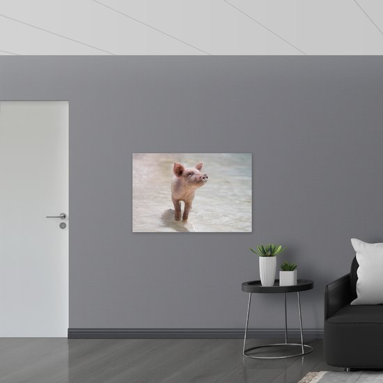 WallClassics - Dibond - Porcinet à la plage - Photo sur aluminium 105 x 70 cm (avec système de suspension)