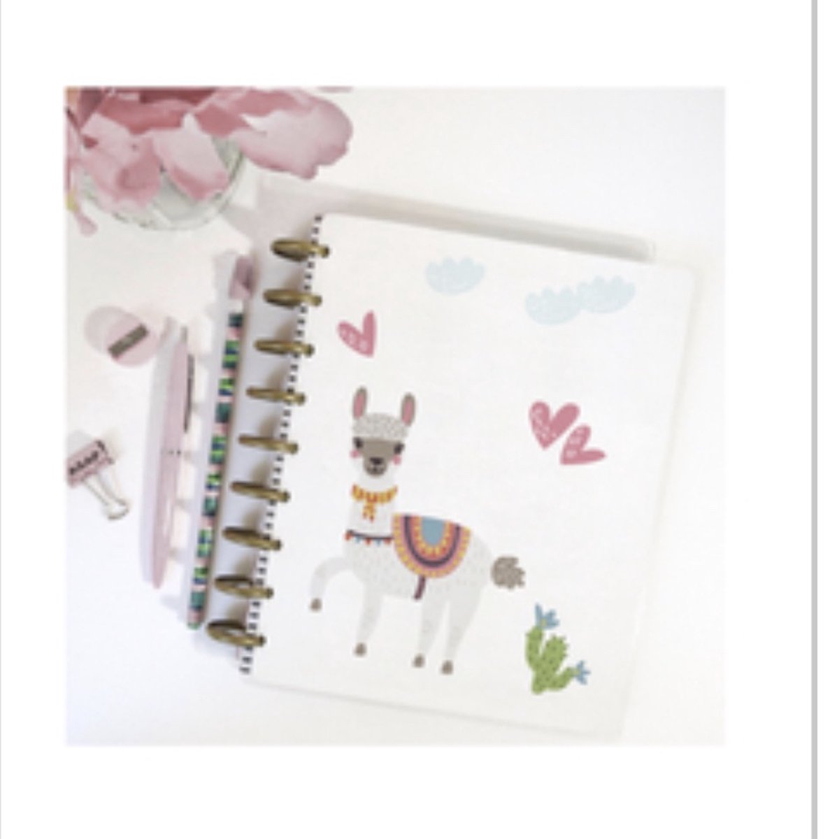 Muursticker Kinderkamer - Dieren - Alpaca - 6 Setjes - 15 x 21 CM Per Setje