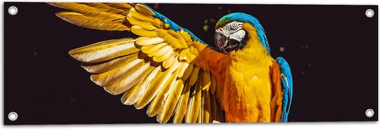 WallClassics - Tuinposter – Ara Papegaai met Geel Gouden Vleugels - 90x30 cm Foto op Tuinposter  (wanddecoratie voor buiten en binnen)