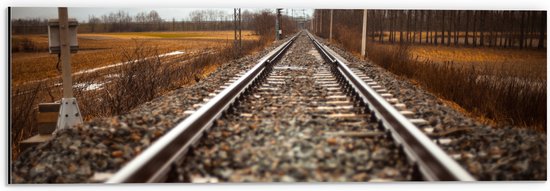 WallClassics - Dibond - Close up van het Spoor - 60x20 cm Foto op Aluminium (Met Ophangsysteem)