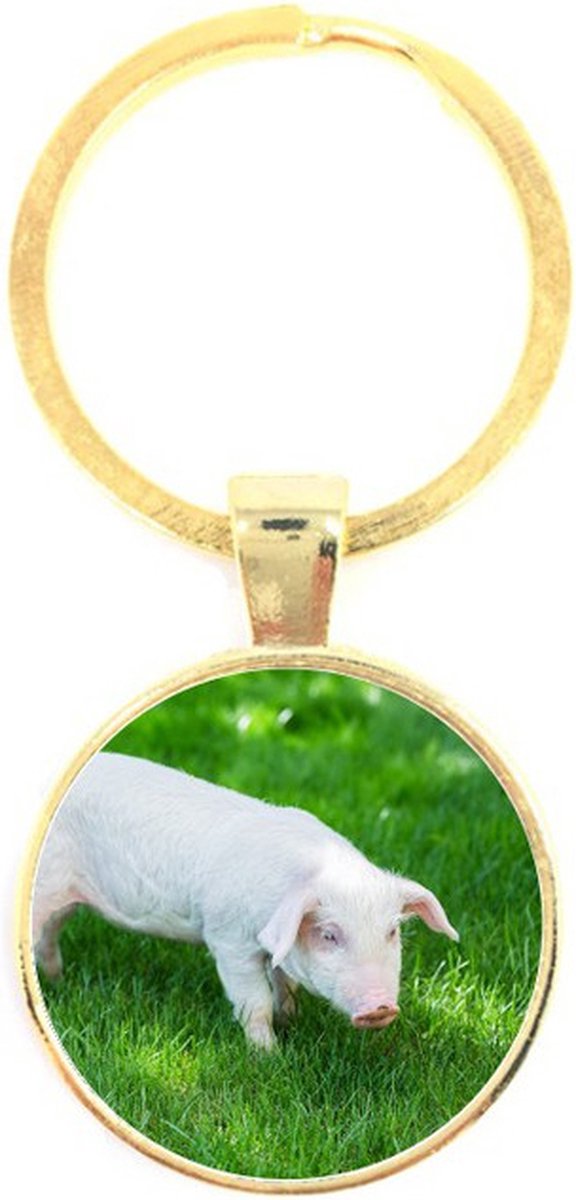 Sleutelhanger Glas - Varken