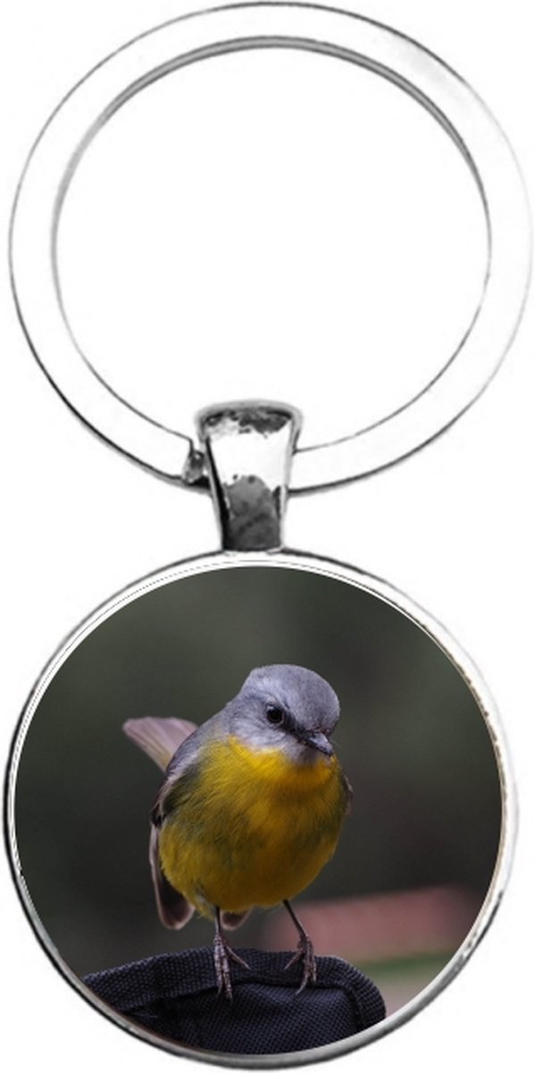 Sleutelhanger Glas - Vogel