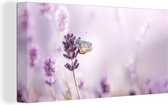 Canvas schilderij - Lavendel - Vlinder - Bloemen - Botanisch - Schilderijen op canvas - Canvas bloemen - Foto op canvas - 80x40 cm - Muurdecoratie