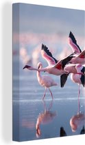 Canvas - Schilderij - Flamingo - Zee - Water - Vogel - Tropical - Schilderij op canvas - Woonkamer - 60x90 cm - Canvas doek - Wanddecoratie