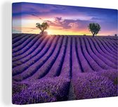 Canvas - Schilderij - Bloemen - Zonsondergang - Lavendel - Landschap - Bomen - Canvas doek - Schilderijen op canvas - 80x60 cm - Wanddecoratie
