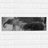 WallClassics - Muursticker - Olifanten aan een Meer Zwart / Wit - 60x20 cm Foto op Muursticker