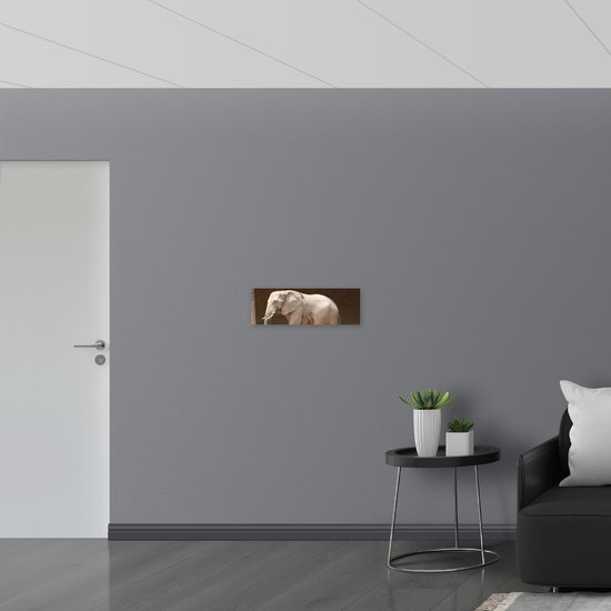 WallClassics - Poster Glossy – Savannah Elephant at a Wall - 60x20 cm Photo sur Papier Poster avec Finition Brillante
