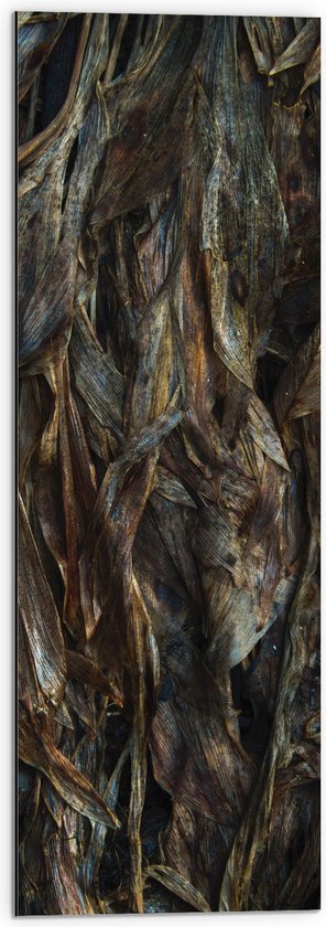 WallClassics - Dibond - Bruine Bladeren - 30x90 cm Foto op Aluminium (Wanddecoratie van metaal)
