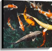 WallClassics - Canvas  - Koi Karpers in het Water - 60x60 cm Foto op Canvas Schilderij (Wanddecoratie op Canvas)