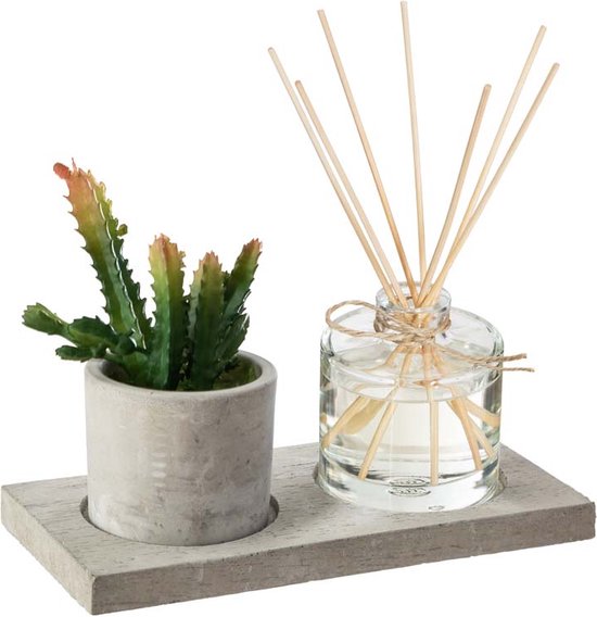 Geurdoos 4 stuks plant met diffuser - Overig - groen - Transparent - Cactus - SILUMEN