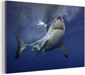 Wanddecoratie Metaal - Aluminium Schilderij Industrieel - Grote witte haai - 60x40 cm - Dibond - Foto op aluminium - Industriële muurdecoratie - Voor de woonkamer/slaapkamer