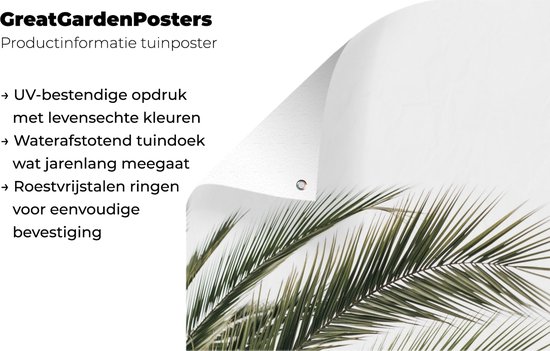 GreatGardenPosters - Décoration de jardin - Feuilles - Palmier - Nature - Été - 40x60 cm - Poster Jardin - Toile Jardin - Poster Extérieur