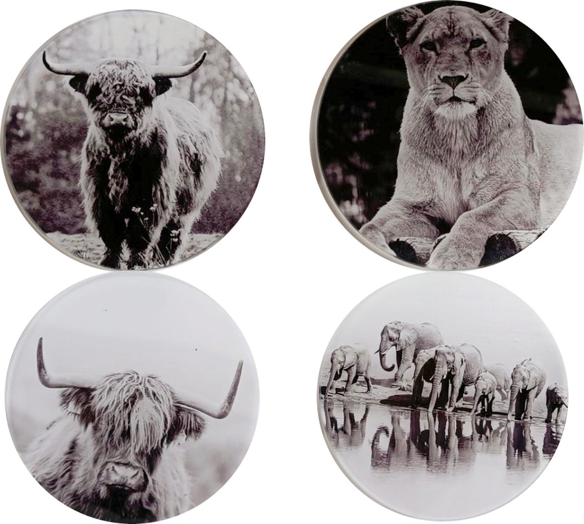 Set/4 glazen onderzetters Ø10cm Dieren zwart-wit