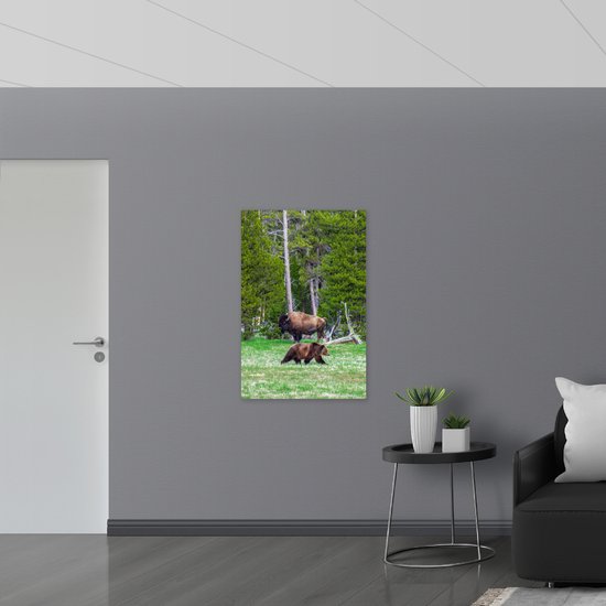WallClassics - Panneau de mousse PVC - Ours et bison dans la nature - Photo 70 x 105 cm sur panneau de mousse PVC