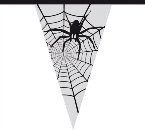 Vlaggenlijn spinnenweb (6m)