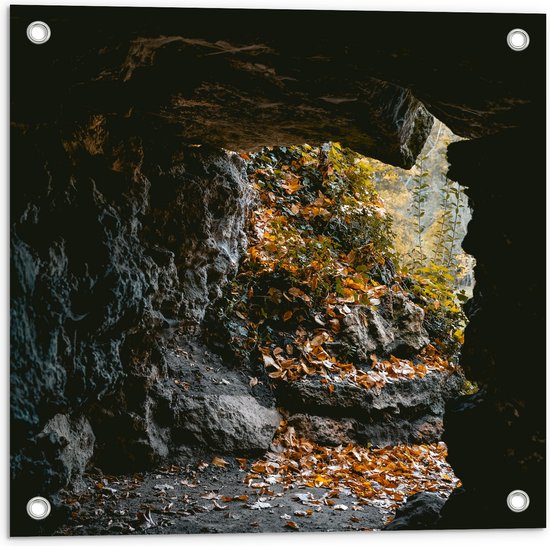 WallClassics - Tuinposter – Herfstbladeren in Kleine Grot - 50x50 cm Foto op Tuinposter  (wanddecoratie voor buiten en binnen)