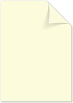 Kangaro papier - A4 - 120 gram FSC - pak 100 vel - beige - K-0043F435