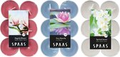 Candles by Spaas geurkaarsen - 36x stuks in 3 geuren Magnolia Flowers - Jasmin Spirit - Waterlilly