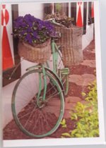 Een fiets tegen de woning aan met een mand vol bloemen. Een leuke kaart om zo te geven of om bij een cadeau te voegen. Een dubbele wenskaart inclusief envelop en in folie verpakt.