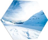 WallClassics - PVC Schuimplaat Hexagon  - Sneeuwvlakte in de Bergen - 80x69.6 cm Foto op Hexagon (Met Ophangsysteem)