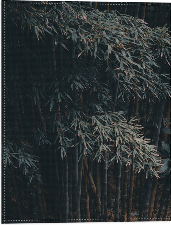 WallClassics - Vlag - Donkere Bamboe Bomen - 30x40 cm Foto op Polyester Vlag