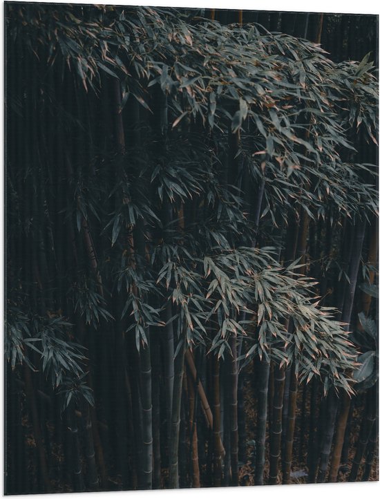 WallClassics - Vlag - Donkere Bamboe Bomen - 75x100 cm Foto op Polyester Vlag