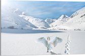 WallClassics - Dibond - Zwaan in Besneeuwde Bergen - 90x60 cm Foto op Aluminium (Met Ophangsysteem)