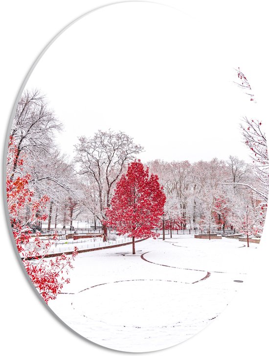 WallClassics - PVC Schuimplaat Ovaal - Rode Boom in de Sneeuw - 30x40 cm Foto op Ovaal  (Met Ophangsysteem)